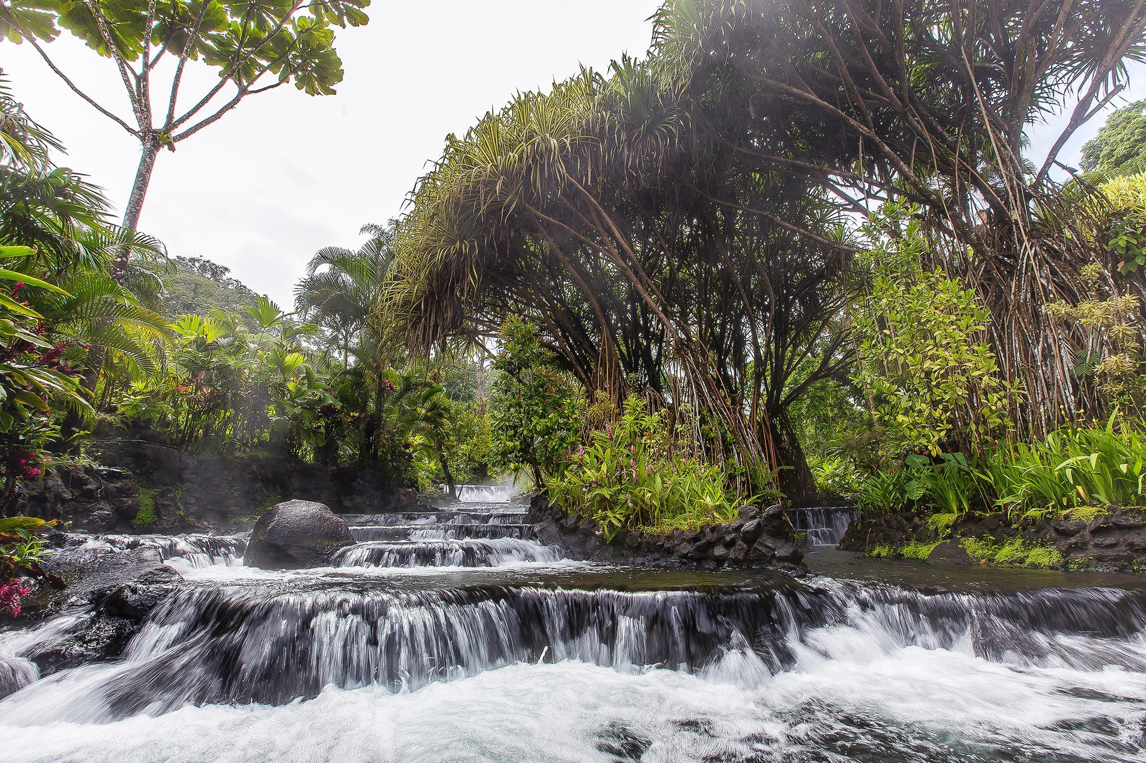 Tabacon Thermal Resort & Spa La Fortuna Екстериор снимка