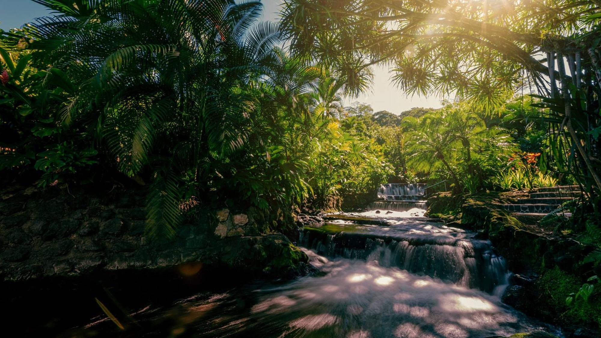 Tabacon Thermal Resort & Spa La Fortuna Екстериор снимка