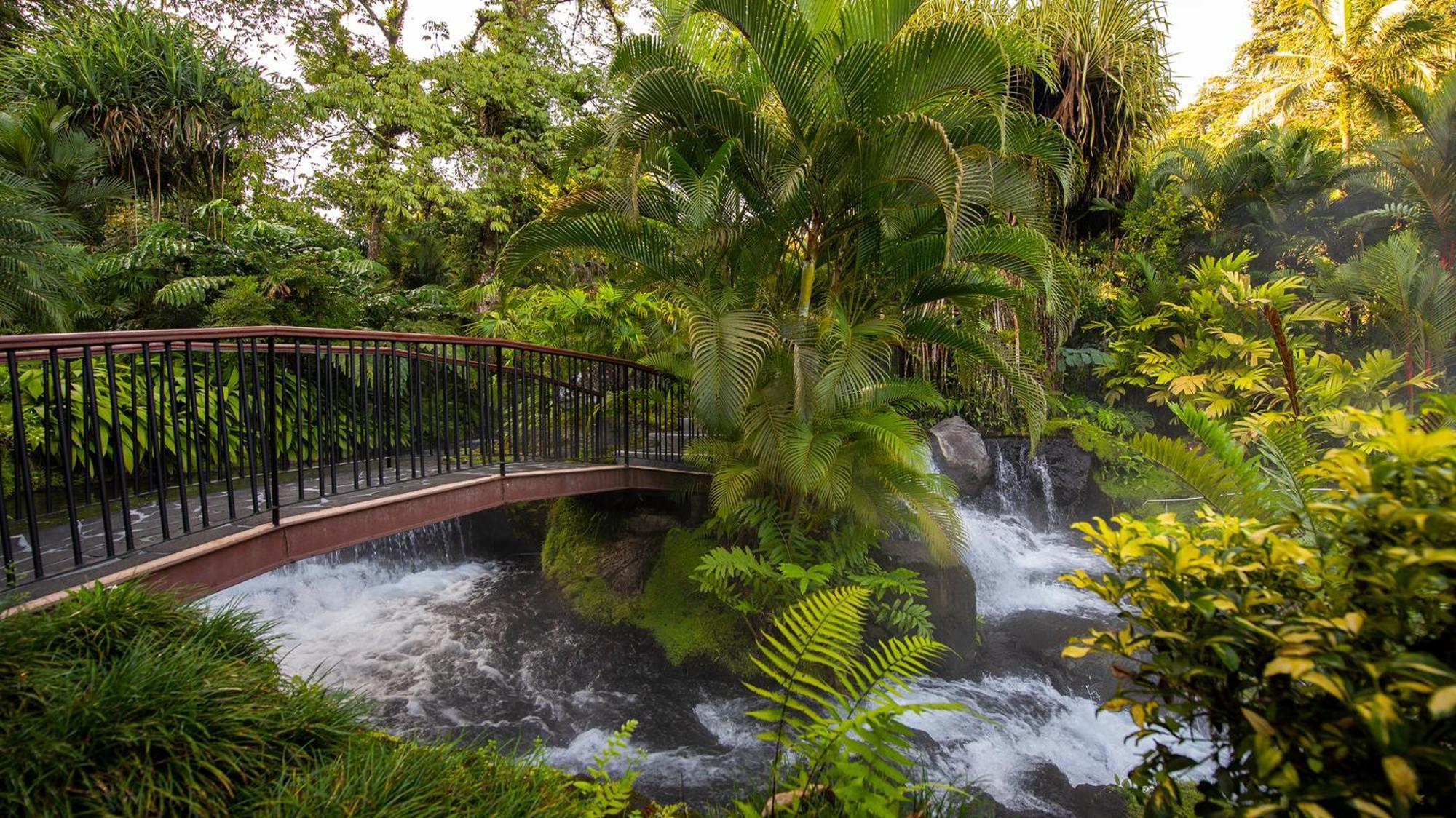 Tabacon Thermal Resort & Spa La Fortuna Екстериор снимка