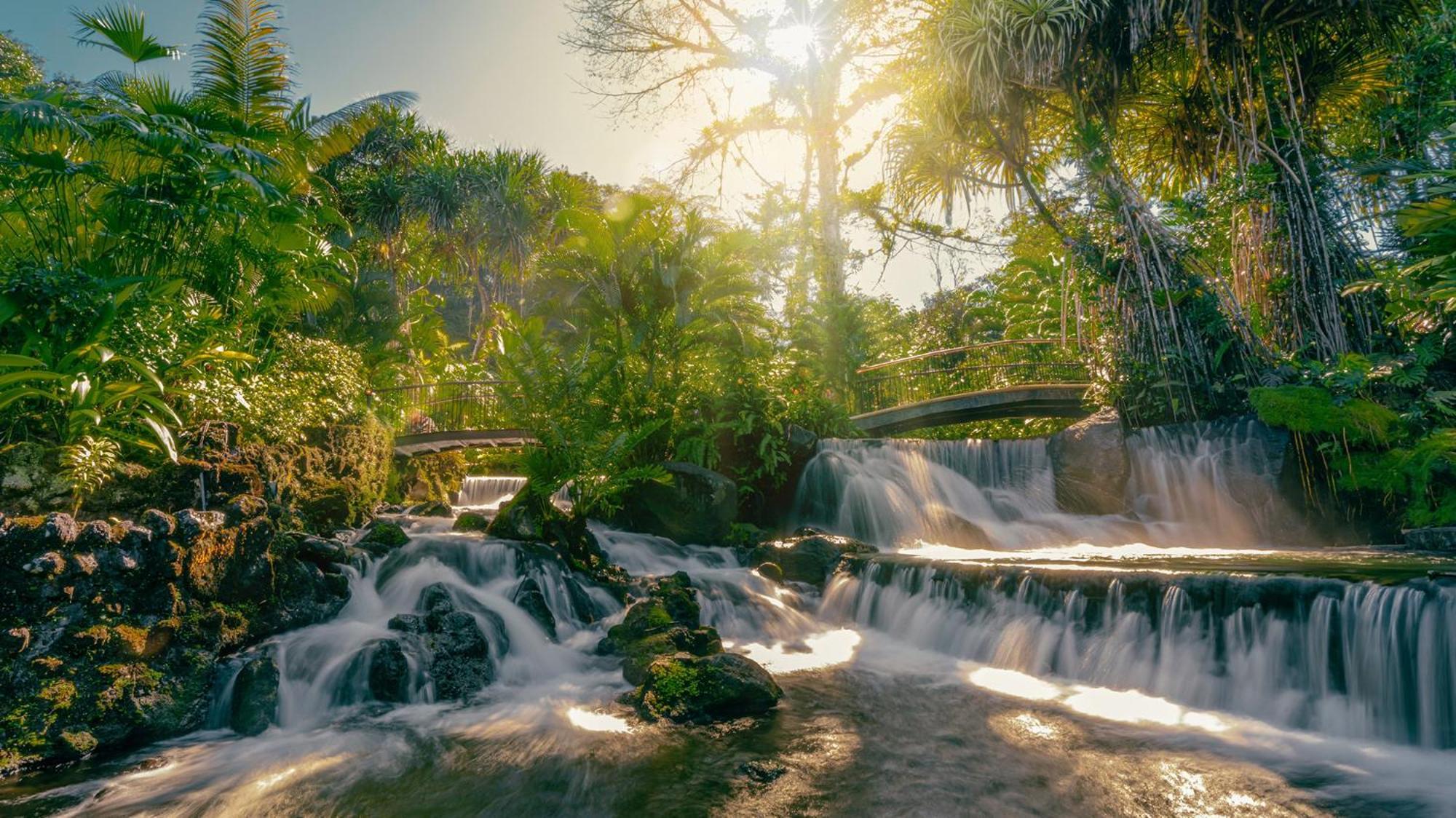 Tabacon Thermal Resort & Spa La Fortuna Екстериор снимка